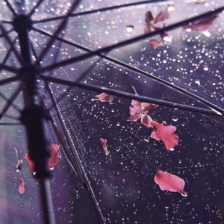 tsuki（月色真美）