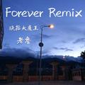 Forever Remix