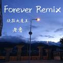 Forever Remix专辑