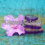 75 Harmonious Sounds专辑