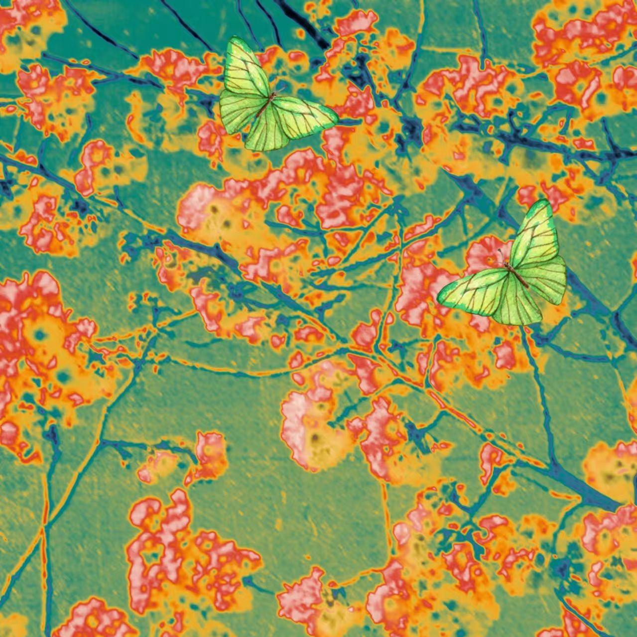 如果我没见过你那就好了