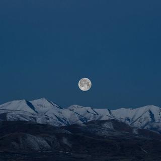 纯音系｜在这个有可能的夜晚