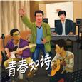 《青春如诗》