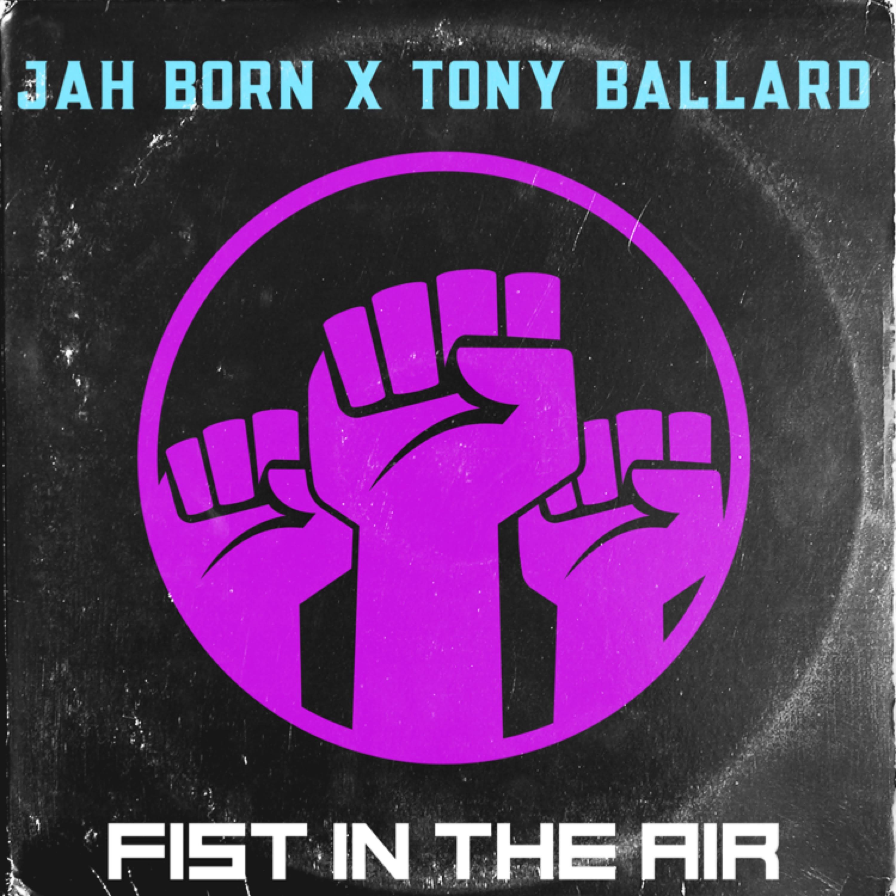 Fist In The Air