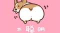 太聪明专辑