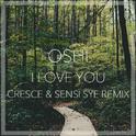 I Love You (Cresce & Sensi Sye Remix)专辑