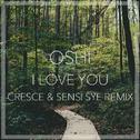 I Love You (Cresce & Sensi Sye Remix)专辑