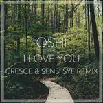 I Love You (Cresce & Sensi Sye Remix)专辑