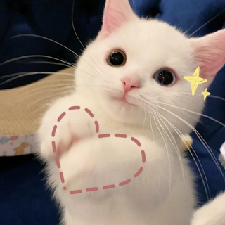 你永远特别，值得世间美好作陪