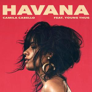Camila Cabello ft. Playboi Carti - I LUV IT (K Instrumental) 无和声伴奏