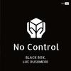 Black Box - No Control