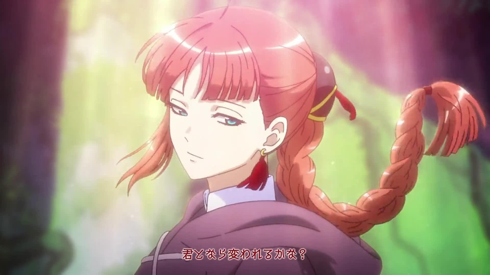 Waribashi Kouka