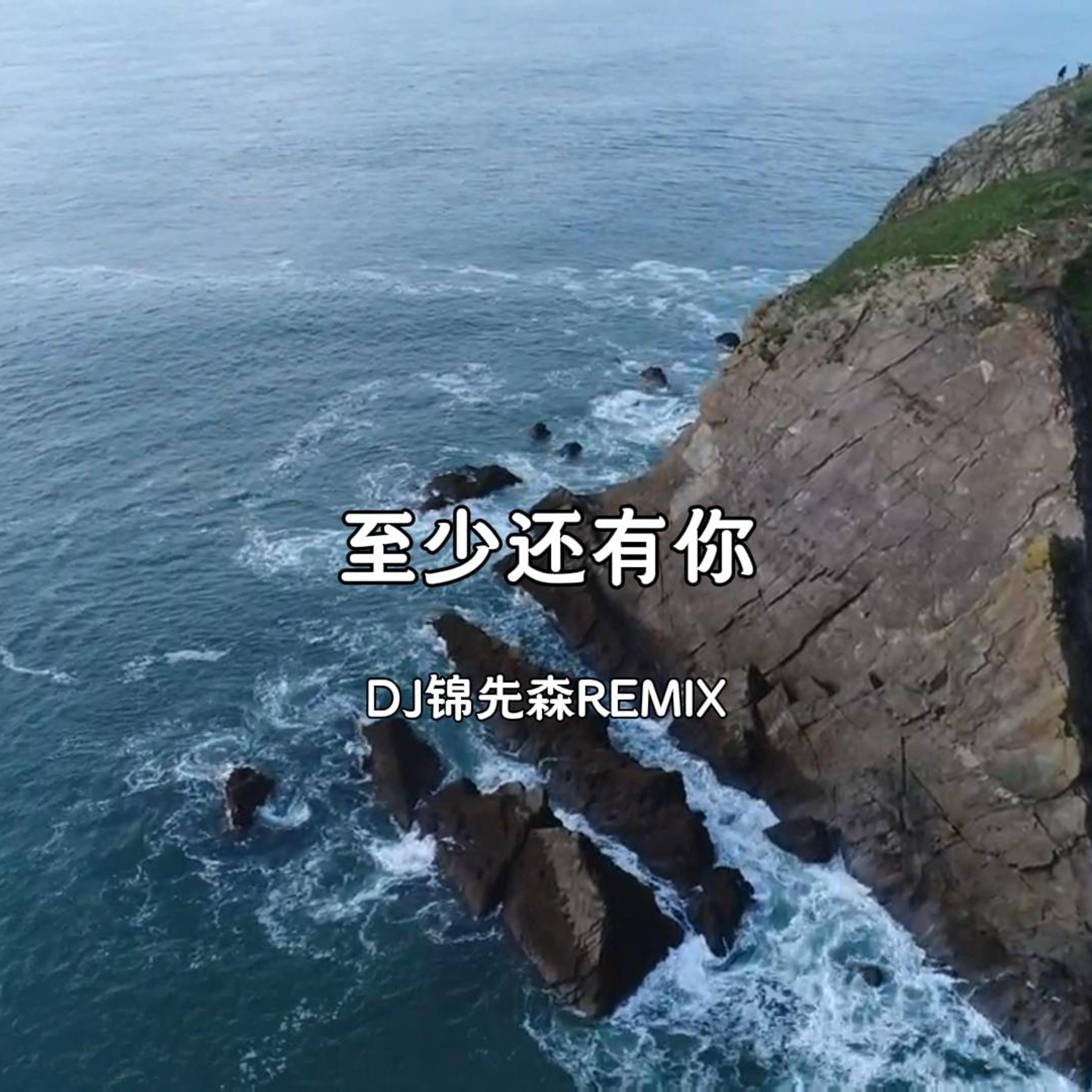 至少还有你（DJ锦先森 Remix）
