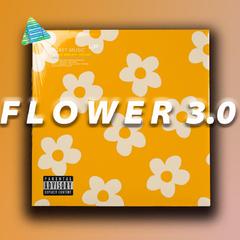 "FLOWER 3.0" Chill Pop Guitar Type Beat