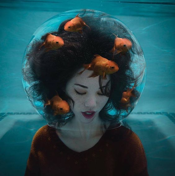 寂寞无害 | 告别所有未曾说出的喜欢 | 在线播放 | 网易云音乐