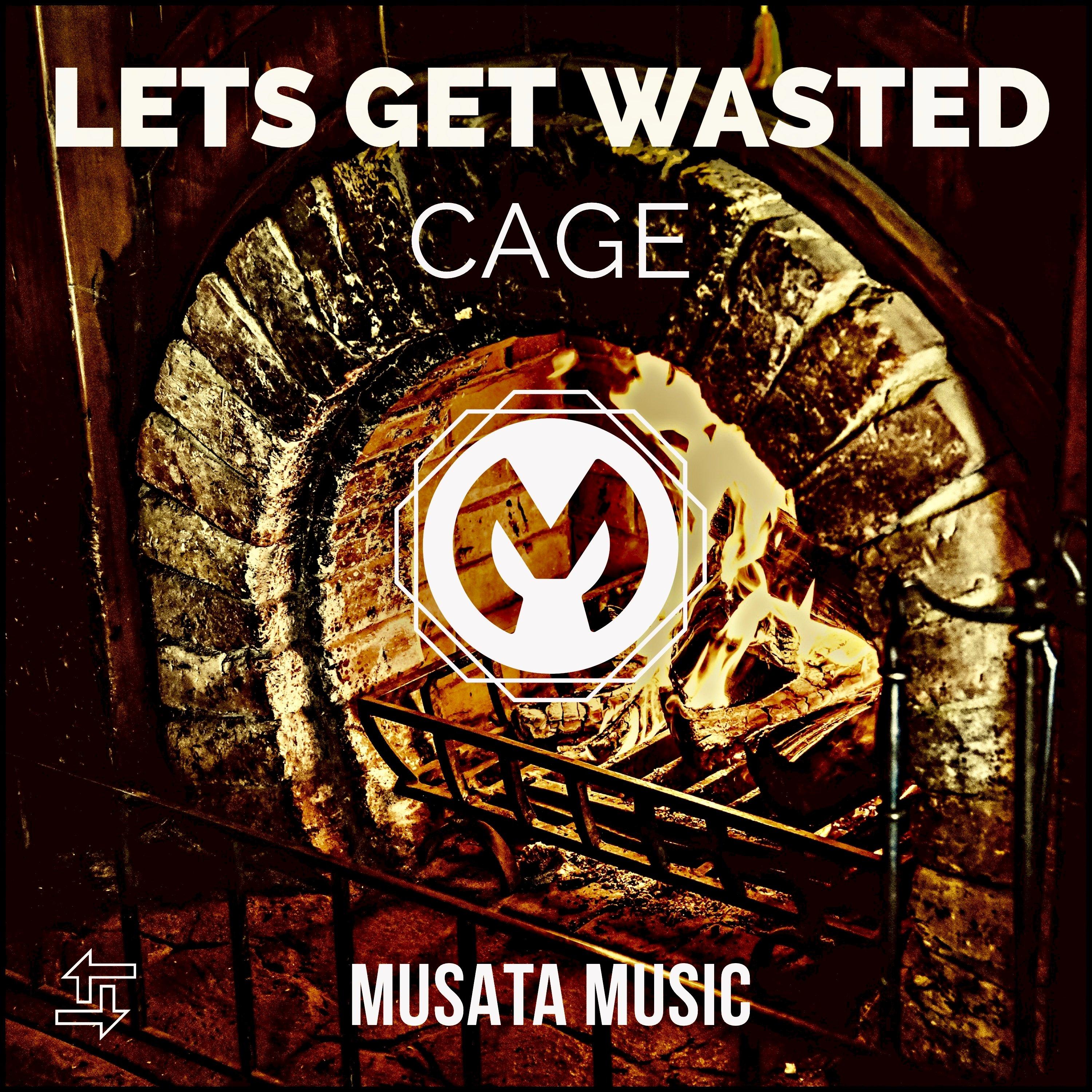Lets Get Wasted