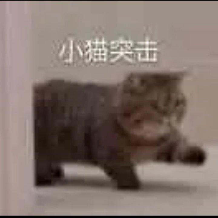 Pure music纯音乐