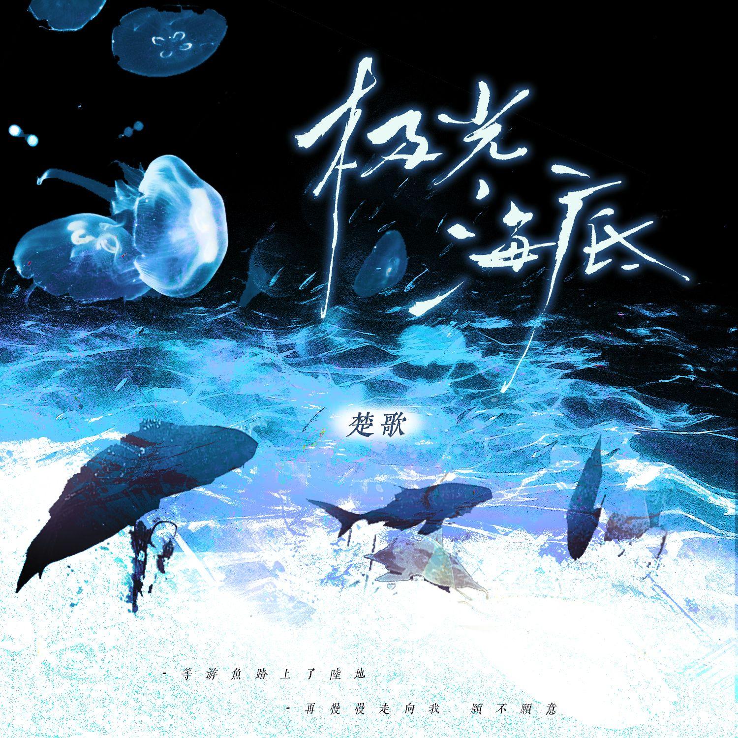 极光海底
