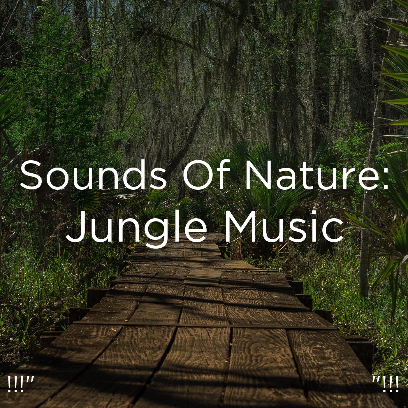 !!!" Sounds Of Nature: Jungle Music "!!!