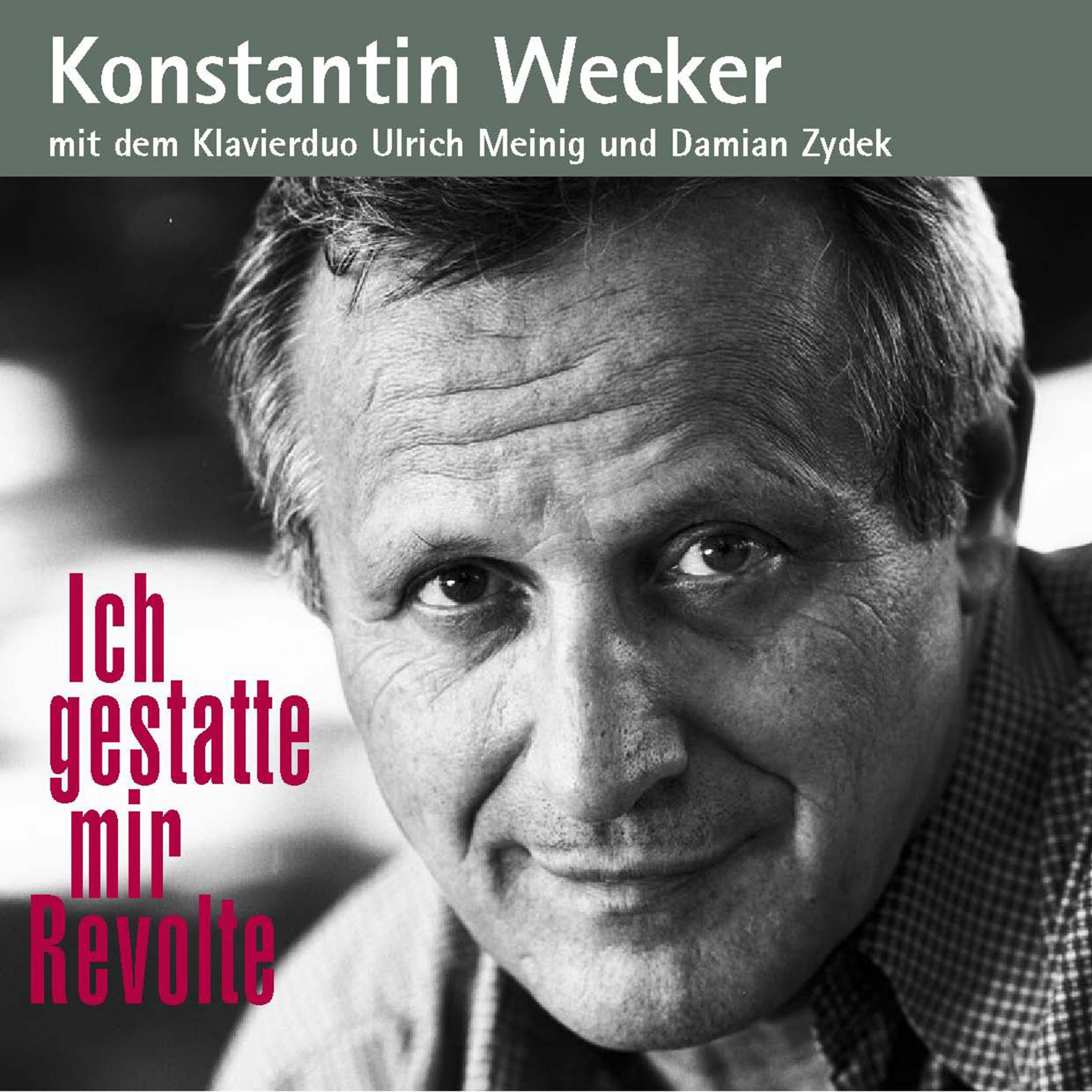 Ich gestatte mir Revolte