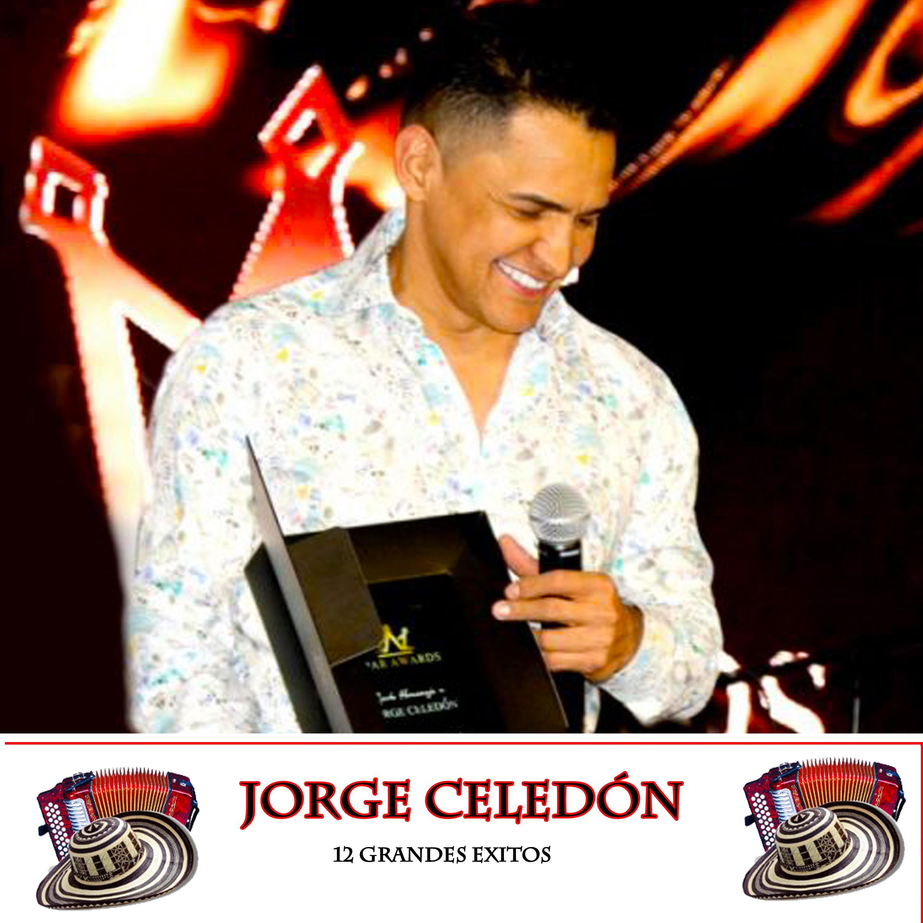 12 Grandes Exitos
