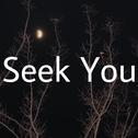 Seek You专辑