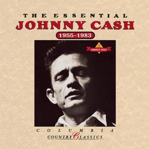 Johnny Cash - Ring of Fire (VS karaoke) 带和声伴奏