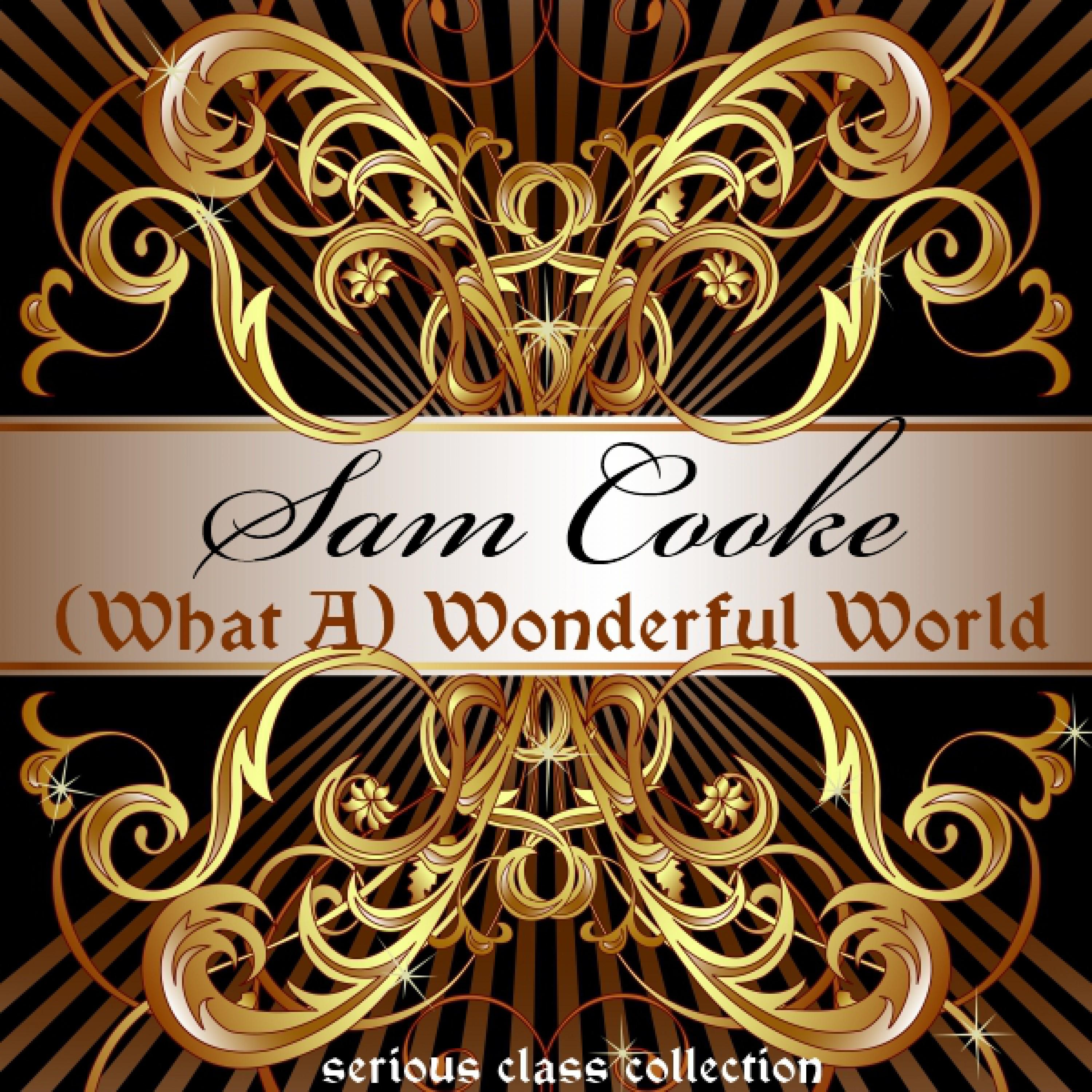 (What a ) Wonderful World