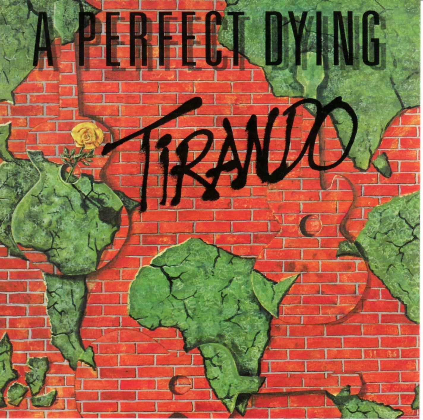 A Perfect Dying