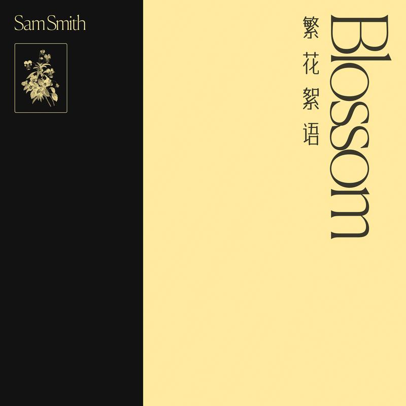 繁花絮语