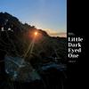 Little Dark Eyed One - all in the river (feat. Alan Watts)