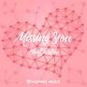 Missing You (VIP)专辑