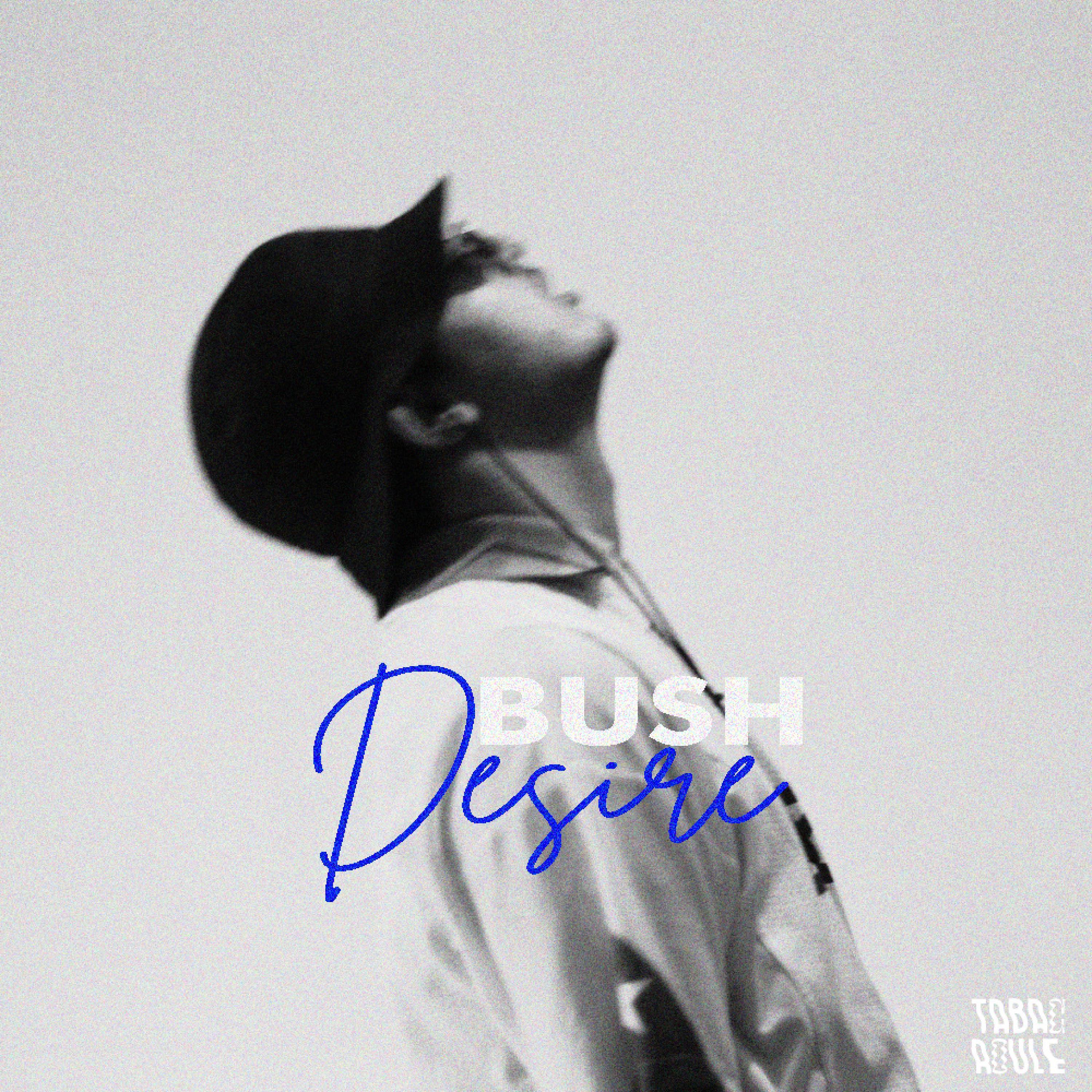 Désiré (feat. Bush)