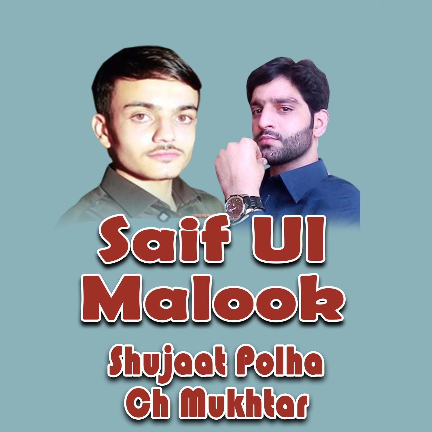 Waseem Gulshan - Saif Ul Malook