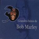 30 Grandes Éxitos de Bob Marley专辑