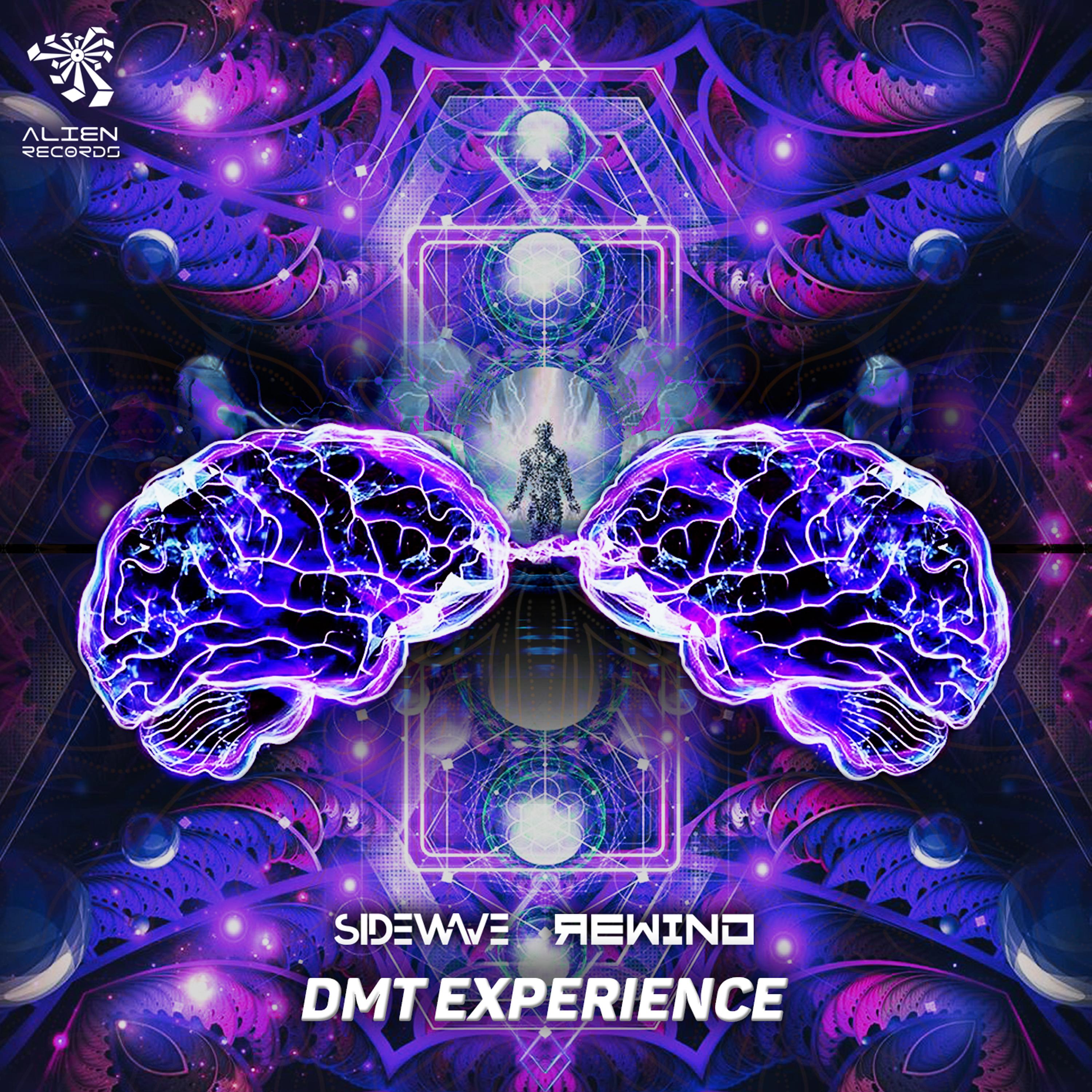 DMT Experience
