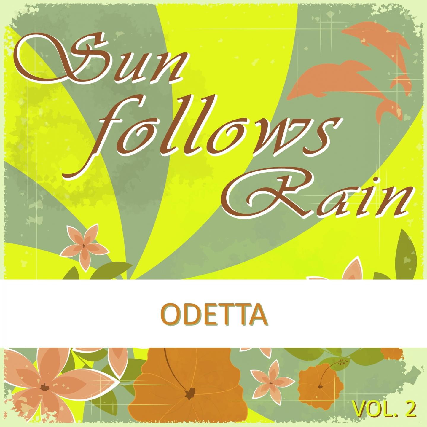 Sun Follows Rain, Vol. 2专辑