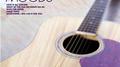 Acoustic Moods专辑
