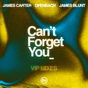 Can’t Forget You (feat. James Blunt) [James Carter VIP Remix]