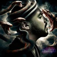 Wisdomaddik - Reptile