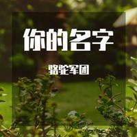 紫水晶-思念刻上你的名字 伴奏 无人声 伴奏 AI