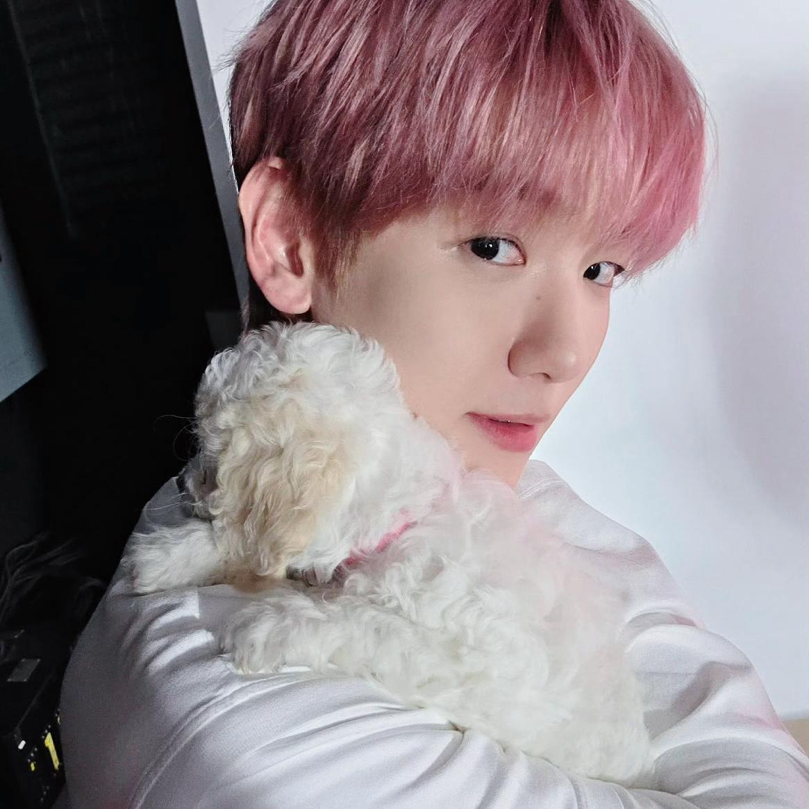 空白(翻自 罗凯元)