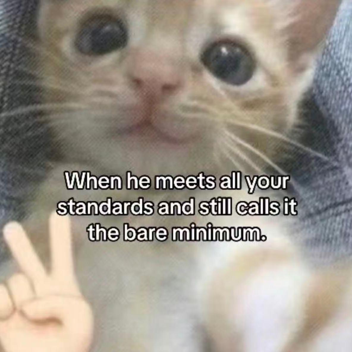 "轨迹" sadpiano x samplevocal x 痛苦旋律伴奏