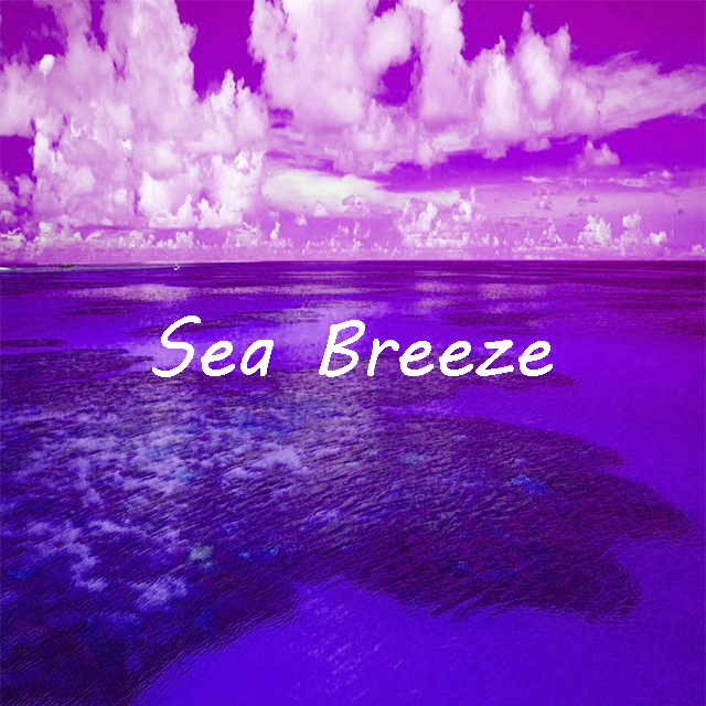 [SOLD] Sea Breeze专辑