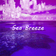 [SOLD] Sea Breeze