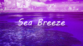 [SOLD] Sea Breeze专辑