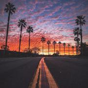 Back To My City