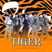 Tiger（翻自：TOP登陆少年组合）