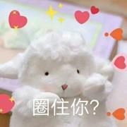 圈住你