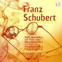 Schubert: String Quartet No.1, D.18 - String Quartet No.2 in C Major, D.32 (fragment) - String Quart专辑